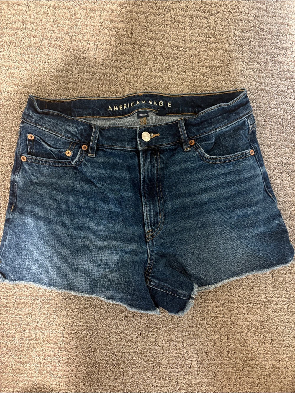 American Eagle Dark Wash Denim Cutoff Shorts